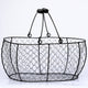 Basket, Anton