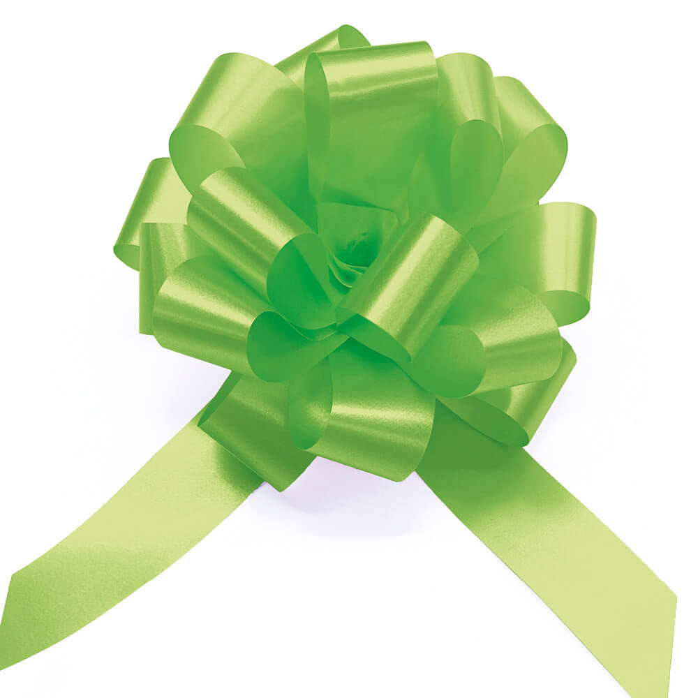 Pull Bow - Splendene