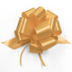 Pull Bow - Splendene