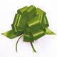 Pull Bow - Splendene