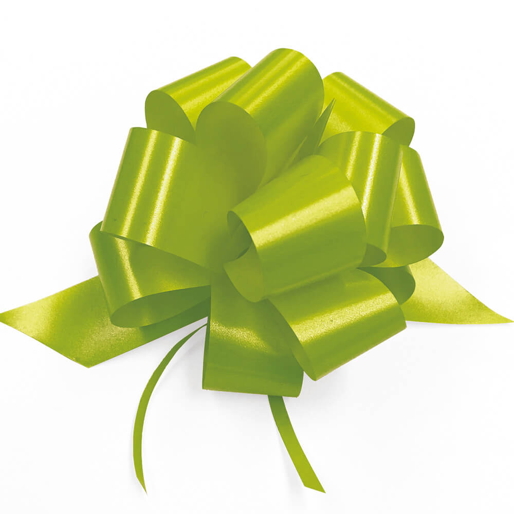 Pull Bow - Splendene