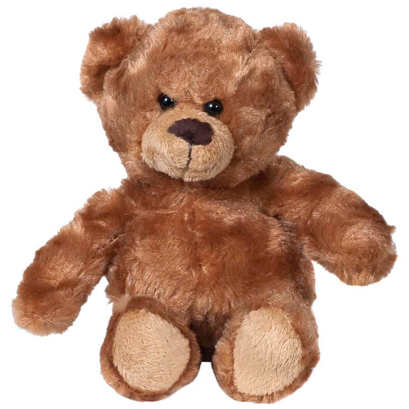 Björn Teddy 20 cm