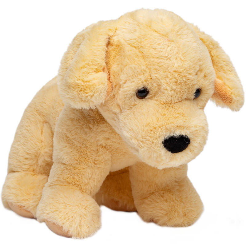 Hund Golden Retriever "Dixie"