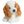 Hund Cocker Spaniel 17 cm, lit