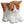 Katt Tusse orange 23cm