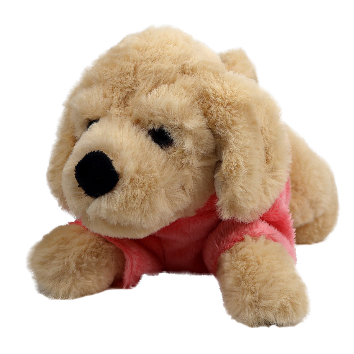 Hund i Hoodie Golden Retriever