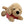 Hund i Hoodie Golden Retriever