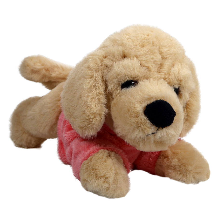 Hund i Hoodie Golden Retriever