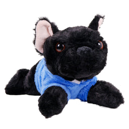 Hund i Hoodie Fransk Bulldog