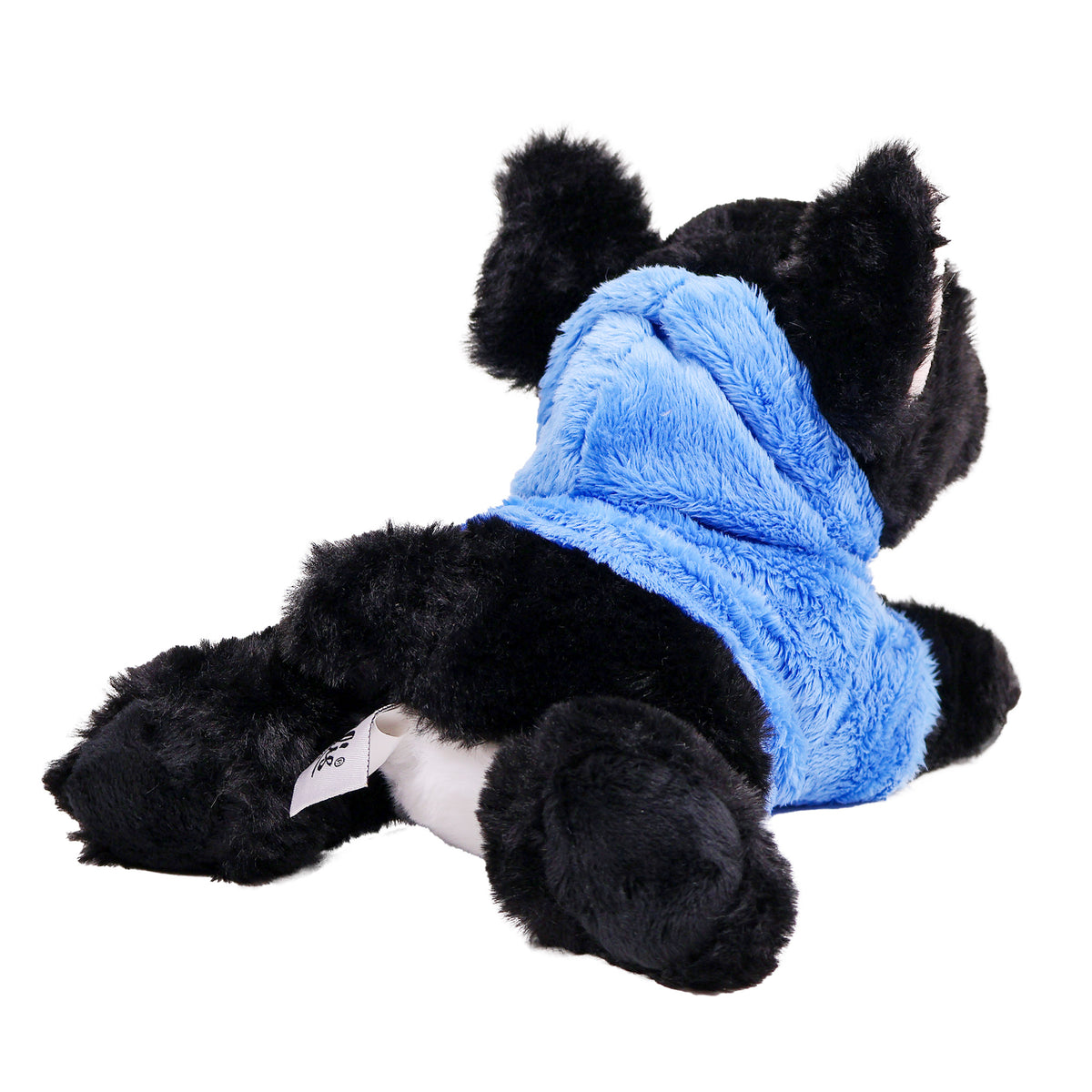 Hund i Hoodie Fransk Bulldog