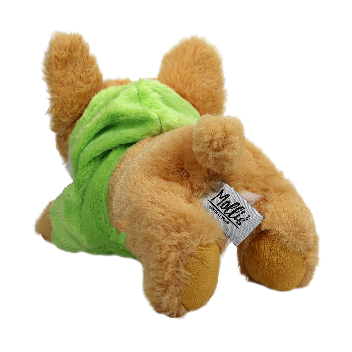 Hund i Hoodie Chihuahua