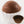 Chocolate molds